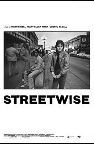 Streetwise poster