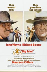 Big Jake poster