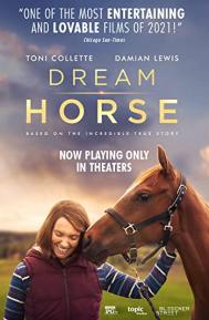 Dream Horse poster