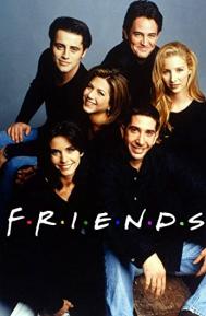 Friends Season 8 poster