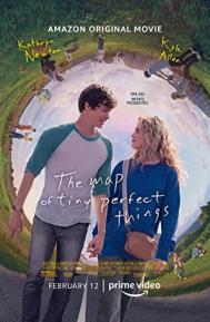 The Map of Tiny Perfect Things poster