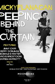 Micky Flanagan: Peeping Behind the Curtain poster