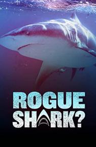 Rogue Shark? poster