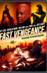 Fast Vengeance poster