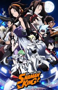 Shaman King Season 1 poster