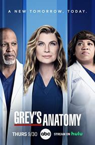 Greys Anatomy Season 18 poster