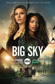 Big Sky Season 2 poster