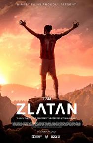 I Am Zlatan poster