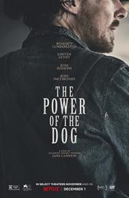 The Power of the Dog poster