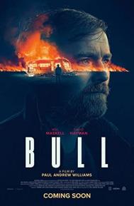 Bull poster