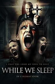 While We Sleep poster