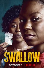 Swallow poster