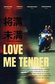 Love Me Tender poster