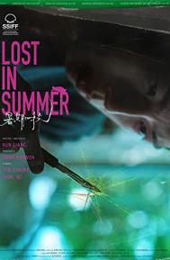 Lost in Summer poster