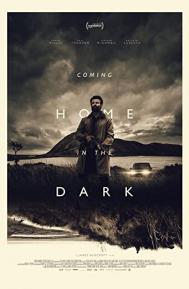 Coming Home in the Dark poster