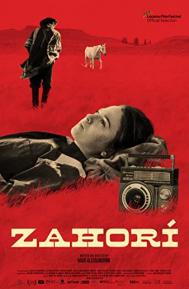 Zahorí poster