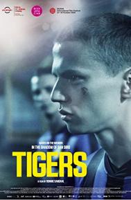 Tigers poster