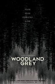 Woodland Grey poster