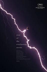 The Year of the Everlasting Storm poster