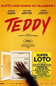 Teddy poster