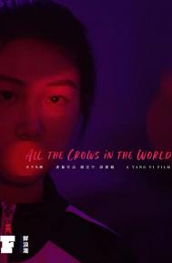 All the Crows in the World poster