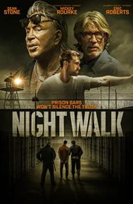 Night Walk poster