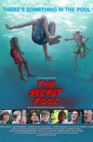 The Secret Pool poster