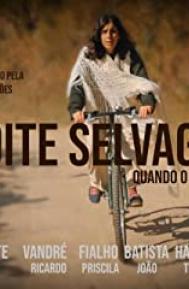 Noite Selvagem poster