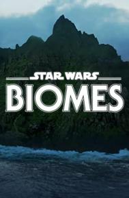 Star Wars Biomes poster