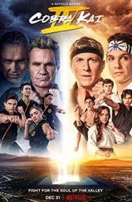 Cobra Kai Season 4 poster