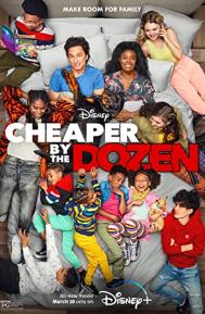 Cheaper by the Dozen poster