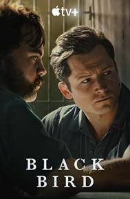 Black Bird Season 1 poster