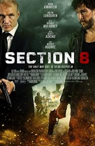 Section 8 poster