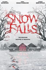 Snow Falls poster