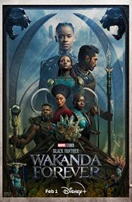 Black Panther: Wakanda Forever poster