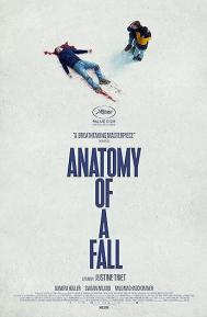 Anatomy of a Fall poster