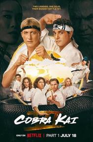 Cobra Kai Season 6 poster